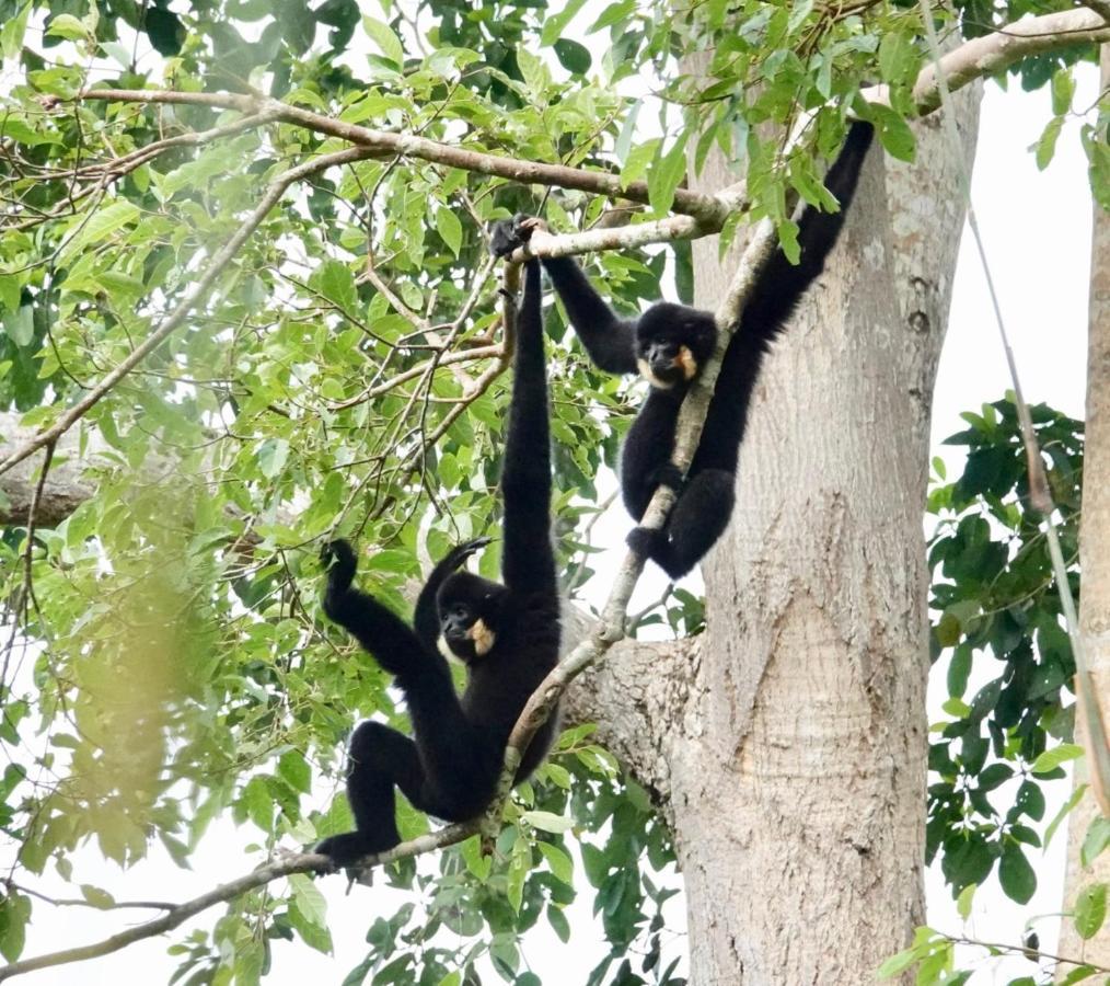 Thuy Tien Ecolodge Cat Tien Zewnętrze zdjęcie