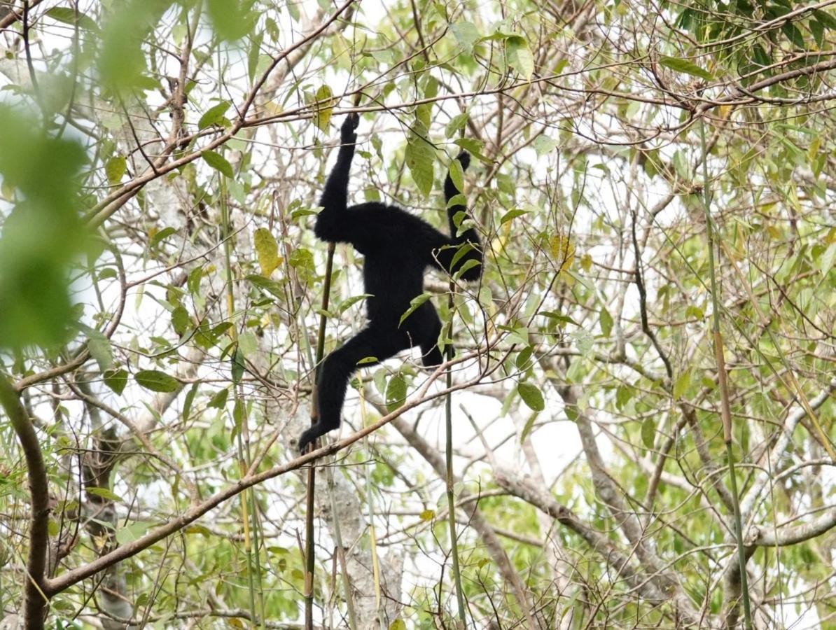 Thuy Tien Ecolodge Cat Tien Zewnętrze zdjęcie
